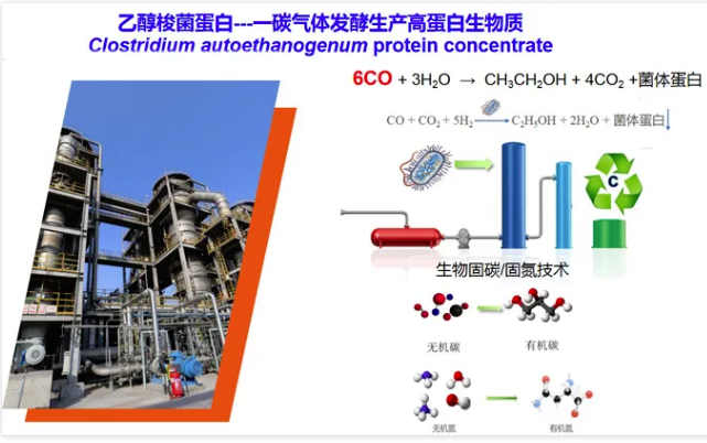 国际首次！一氧化碳合成蛋白质，已形成万吨级工业产能 中国化工网,okmart.com